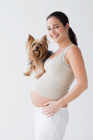 Кошки, собаки и беременность. Готовимся к беременности